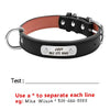 PersonalizedPetCollar