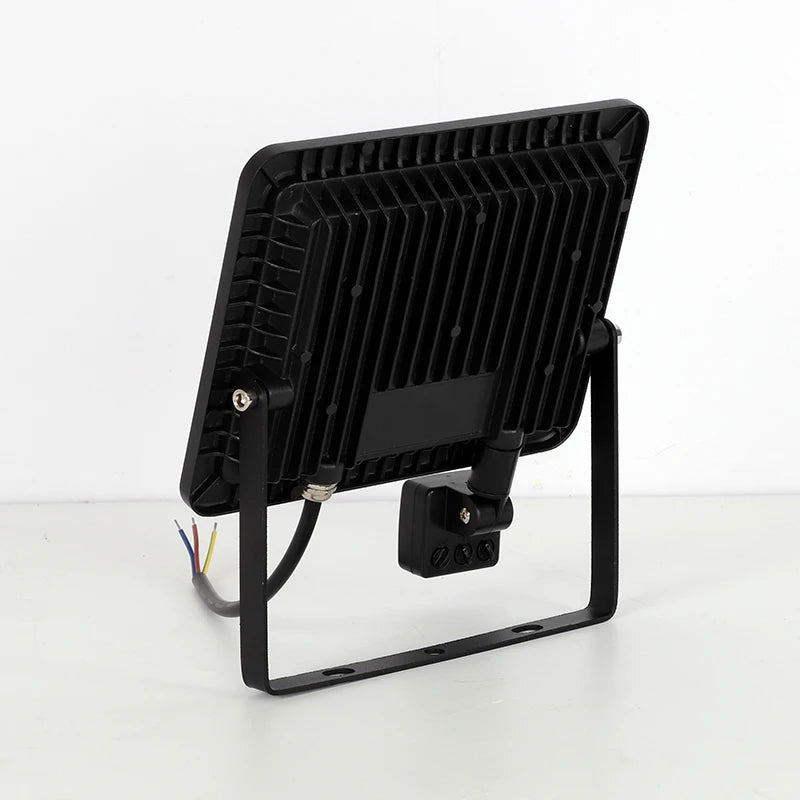 Adjustable Induction LED Floodlight