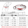 PersonalizedPetCollar