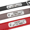 PersonalizedPetCollar