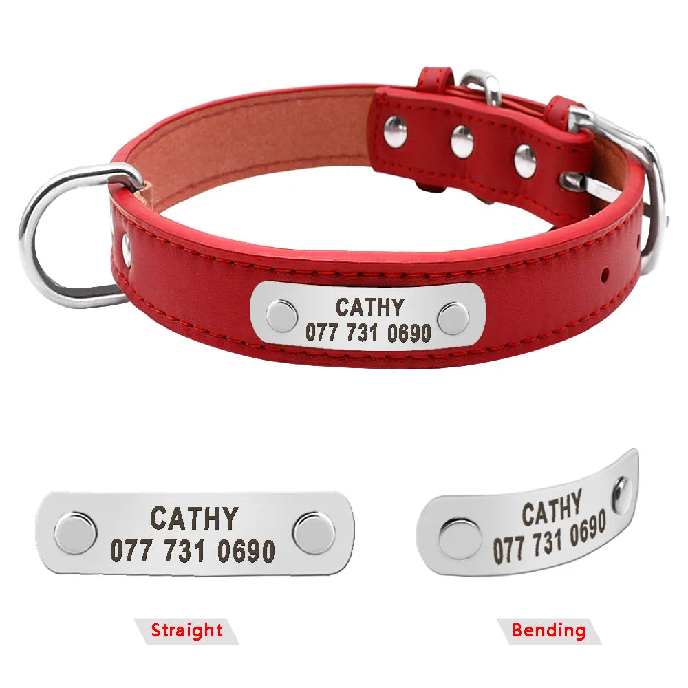 PersonalizedPetCollar