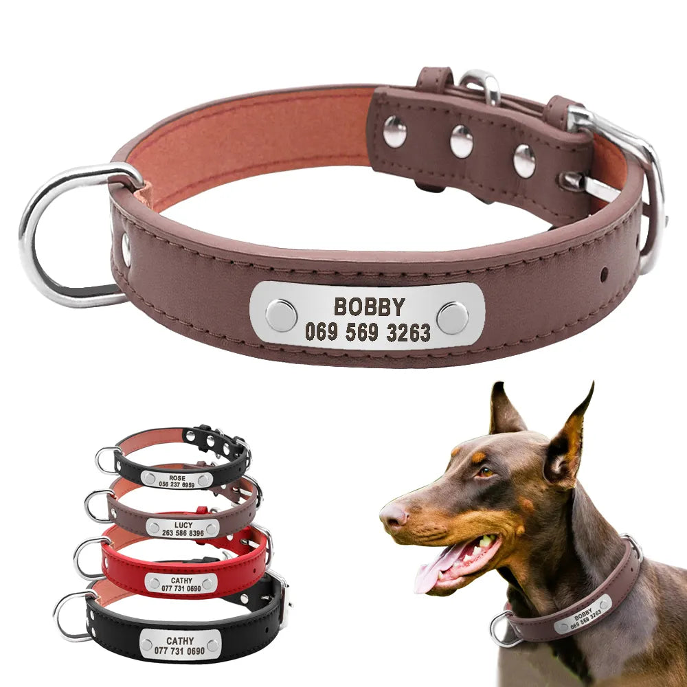 PersonalizedPetCollar