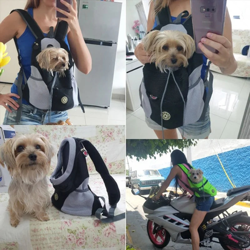 PortableDogCarrier