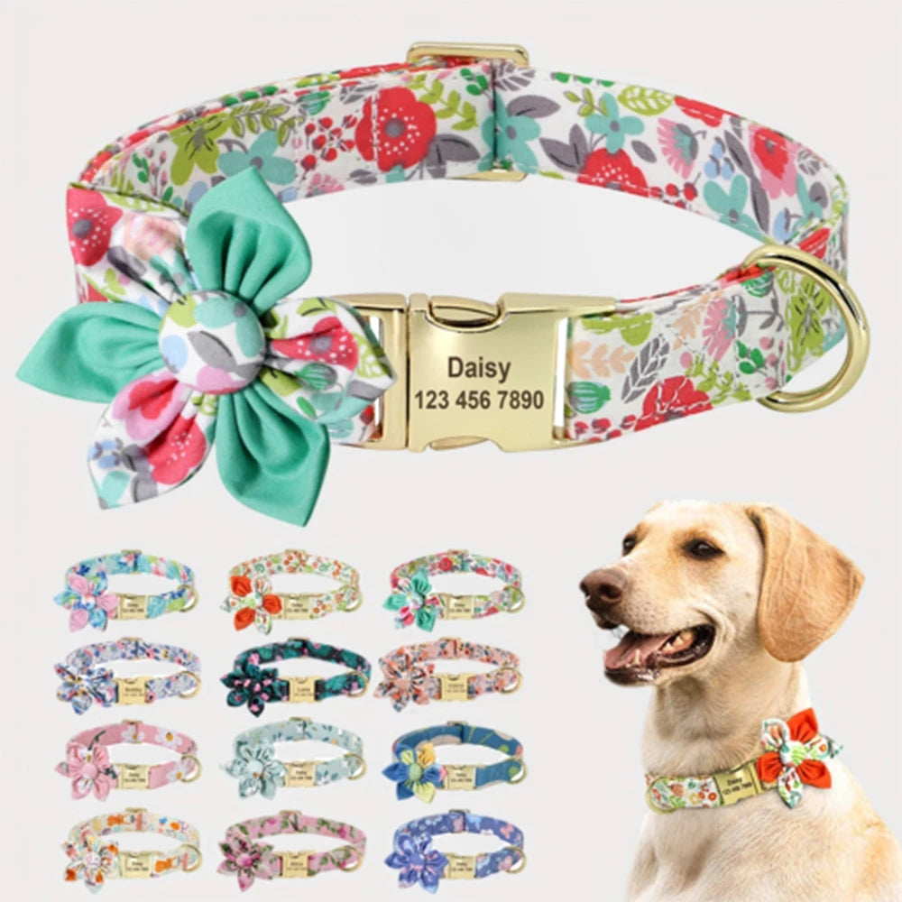 PersonalizedNylonCollar