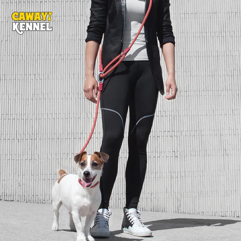 CAWAYI KENNEL Reflective Dog Leash