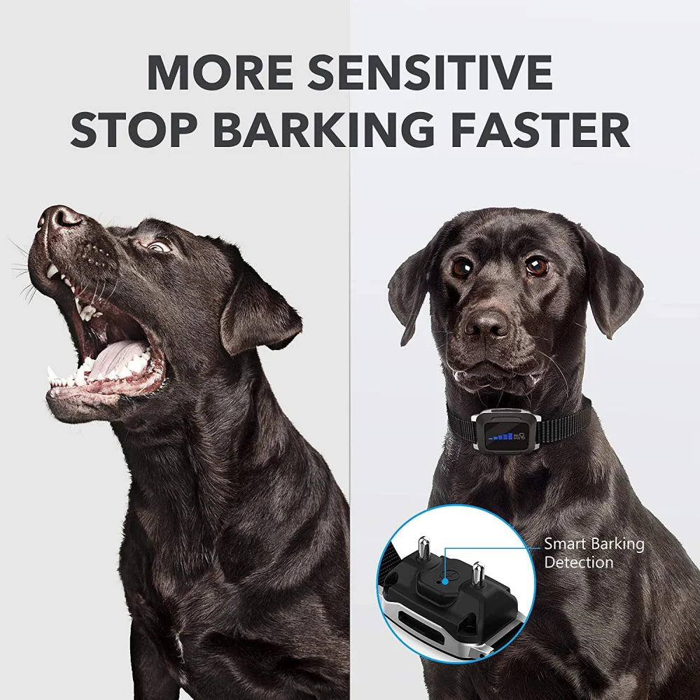 Anti Barking Collar