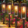 Outdoor Solar Pathway Lights