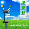 Outdoor Solar Pathway Lights