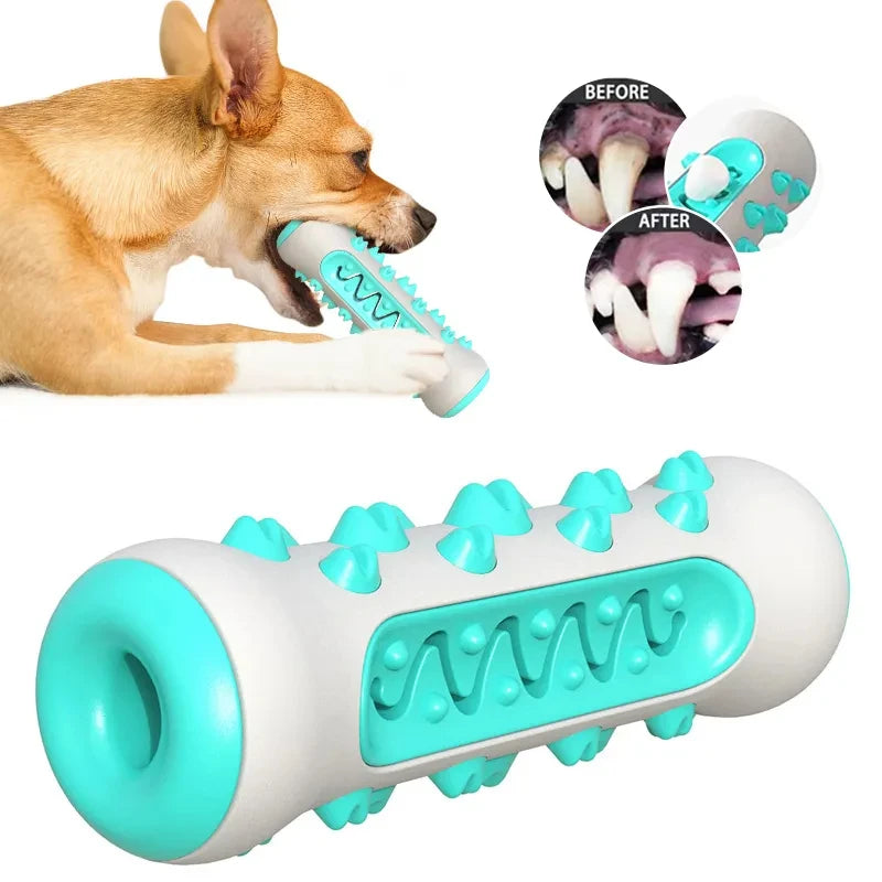 Dog Molar Toothbrush Toy